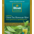 Green Tea Moroccan Mint