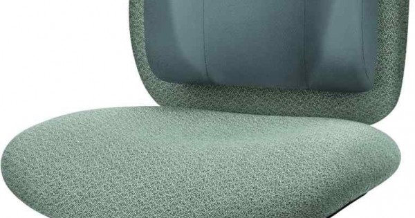 Fellowes Ergonomic High Profile Back Support - Graphite